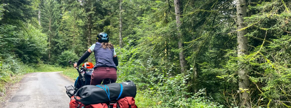 Pédalage en silence au milieu des grands sapins.