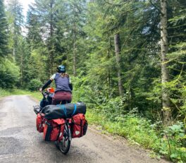 Pédalage en silence au milieu des grands sapins.