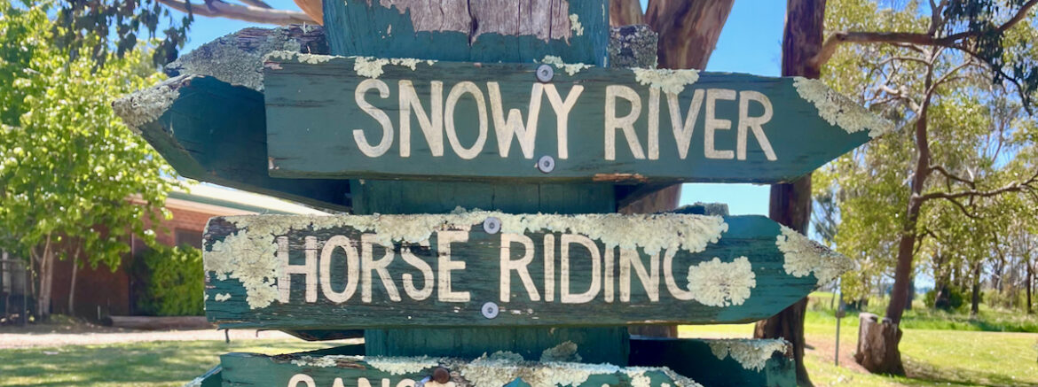 Trois panneaux en bois vermoulu dont un indique la direction de la Snowy River.