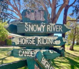 Trois panneaux en bois vermoulu dont un indique la direction de la Snowy River.